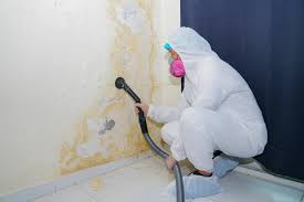 Best Mold Remediation for Healthcare Facilities  in USA